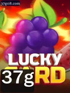 Descubra o Mundo Empolgante de LuckyCard: O Jogo do Momento